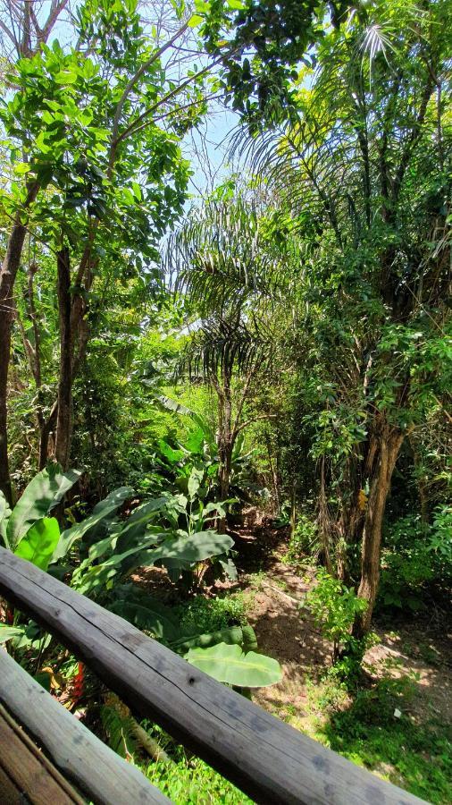 Villas Do Pratagy Maceio エクステリア 写真